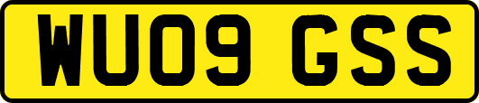 WU09GSS