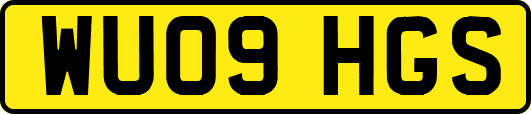 WU09HGS