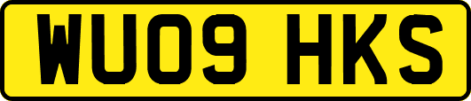 WU09HKS
