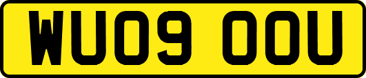 WU09OOU