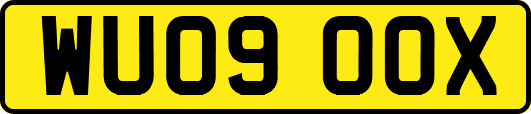 WU09OOX
