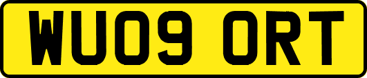 WU09ORT