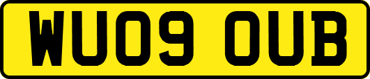 WU09OUB