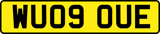 WU09OUE
