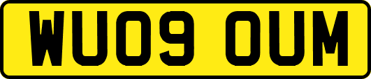 WU09OUM