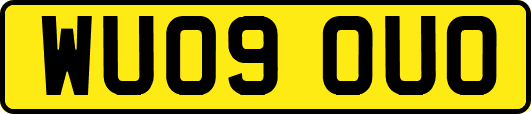 WU09OUO