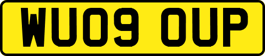 WU09OUP