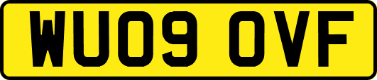 WU09OVF