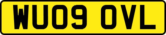 WU09OVL