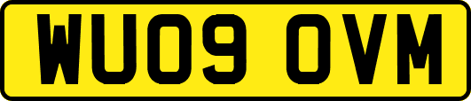WU09OVM