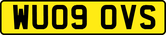 WU09OVS