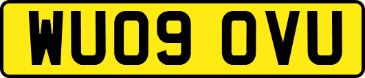 WU09OVU