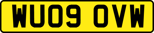 WU09OVW