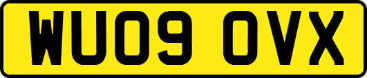 WU09OVX
