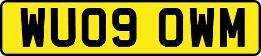 WU09OWM