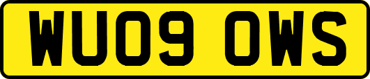 WU09OWS