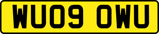 WU09OWU