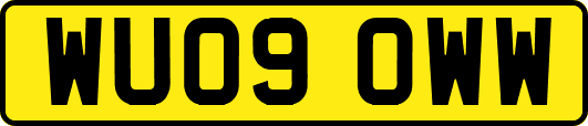 WU09OWW