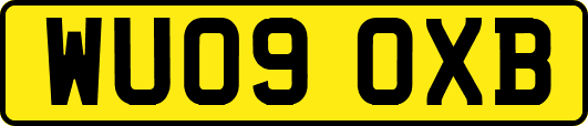 WU09OXB