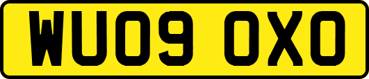WU09OXO