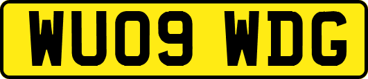 WU09WDG