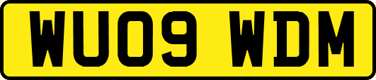 WU09WDM