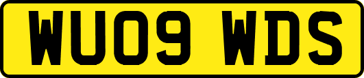 WU09WDS