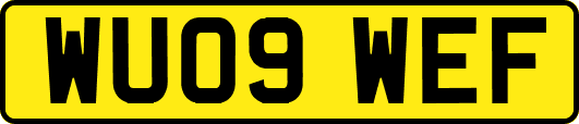 WU09WEF