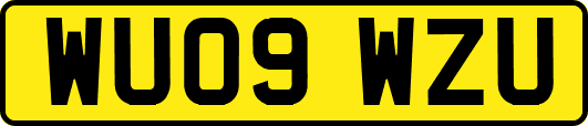 WU09WZU