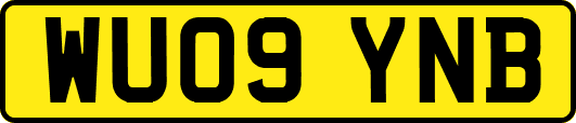WU09YNB