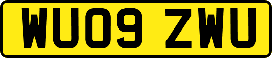 WU09ZWU