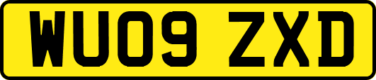 WU09ZXD