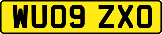 WU09ZXO
