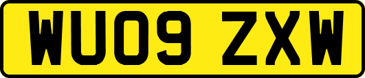 WU09ZXW