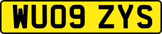 WU09ZYS