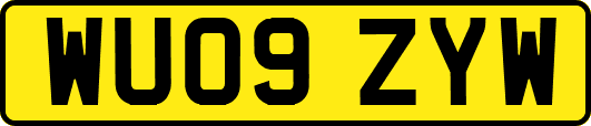 WU09ZYW
