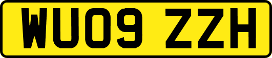 WU09ZZH