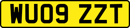 WU09ZZT