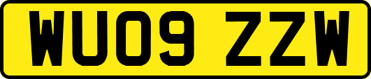 WU09ZZW