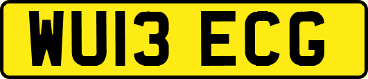 WU13ECG