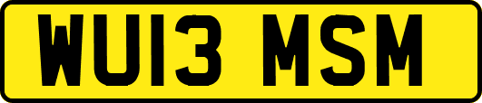 WU13MSM