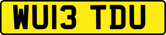 WU13TDU