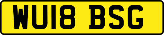 WU18BSG