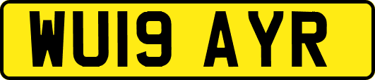 WU19AYR