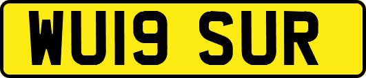 WU19SUR