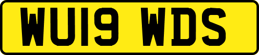 WU19WDS