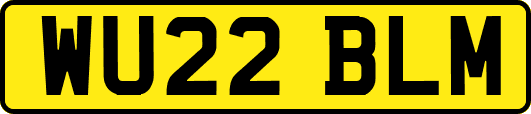 WU22BLM