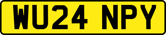 WU24NPY