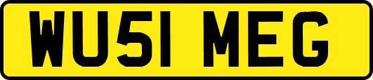 WU51MEG