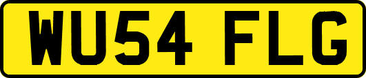 WU54FLG